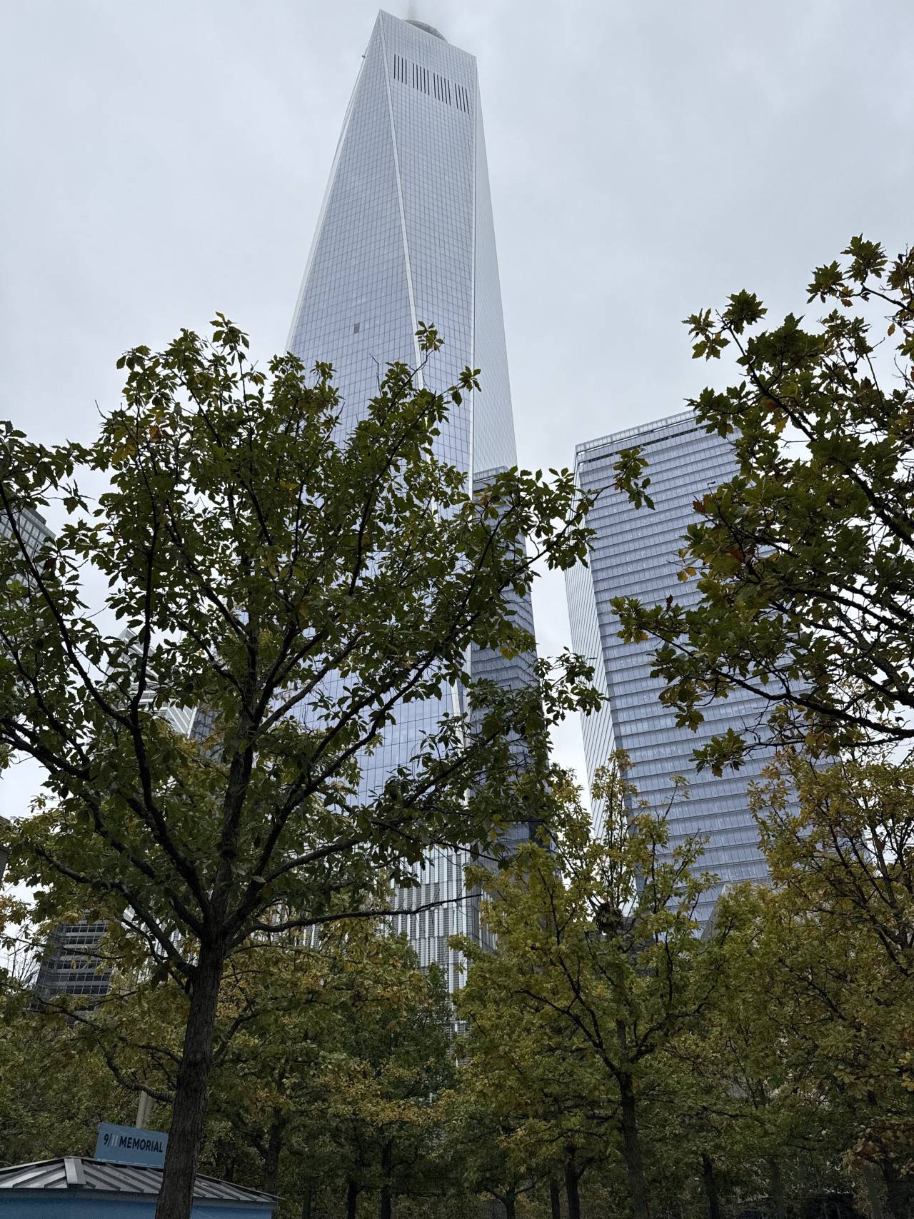 One World Trade Center nad stromy u 9/11 Memorial v New Yorku