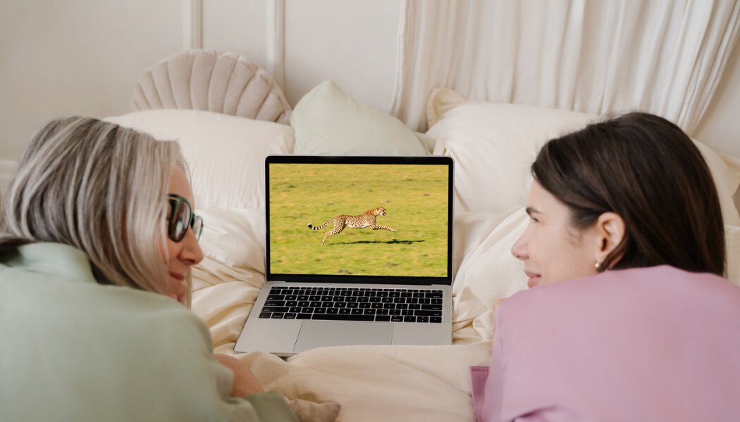 Více než 90 % lidí nerozezná AI video od skutečného, uvádí výzkum