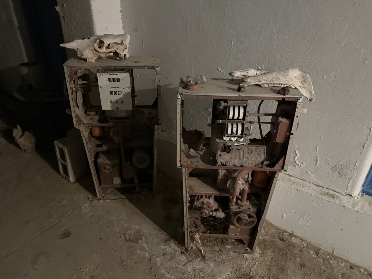 Staré rozbité elektroměry s položenými zvířecími lebkami v opuštěném interiéru.