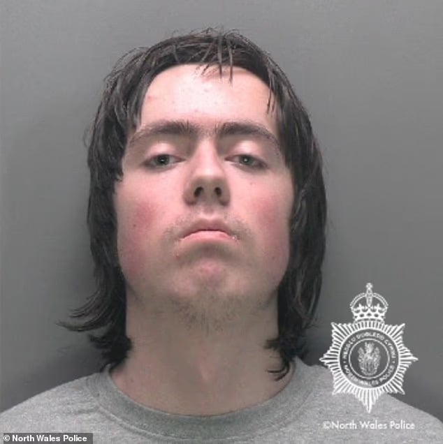 DeepSeek poradil britskému mladíkovi jak kladivem zabít svou vlastní matku