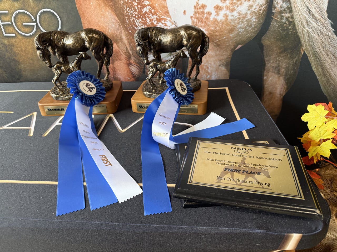 Dvě trofeje appalooských koní s modrými stuhami a první cenou na stole.