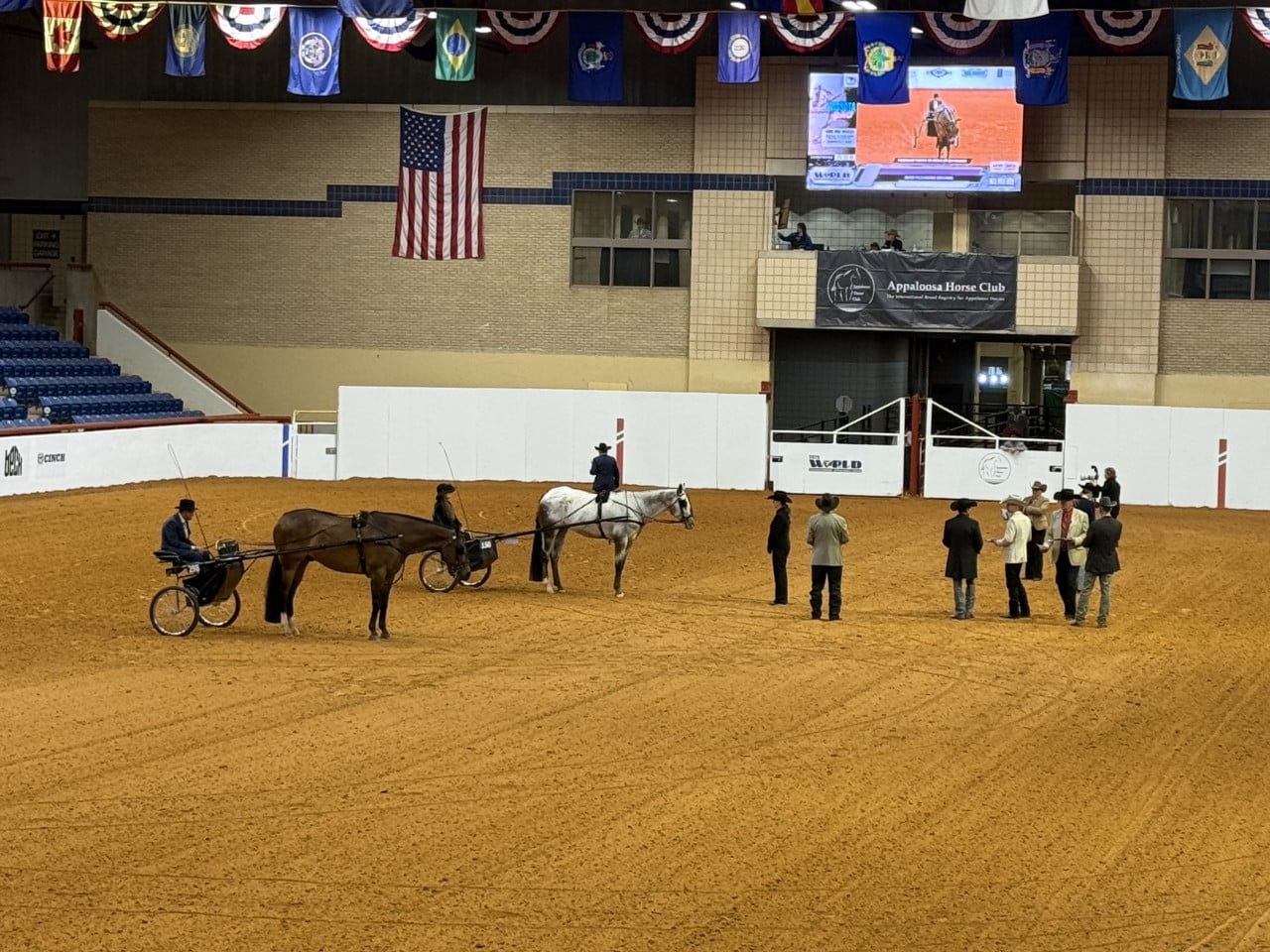 Tři koně a jezdci v hale Appaloosa Horse Club, americká vlajka a obrazovka v pozadí