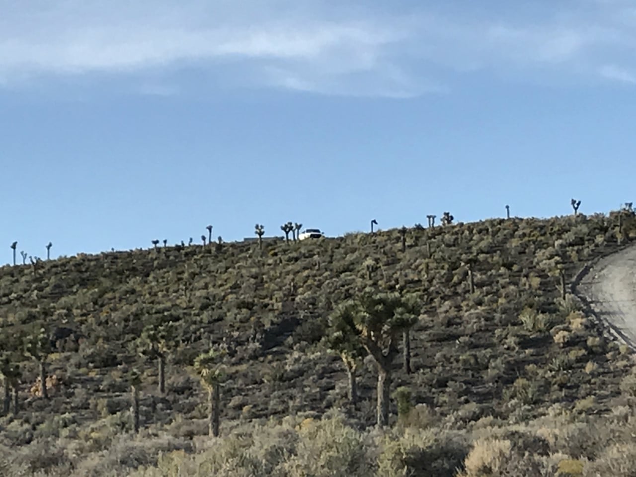 Pouštní svah u Area 51 s dalekým výhledem a bílým autem na hřebeni