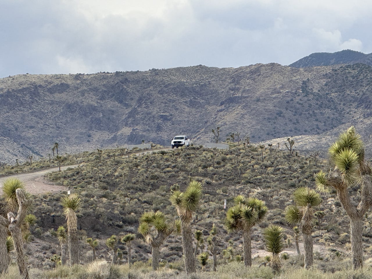 Bílý vůz na klikaté cestě v nevadské pouštní krajině s joshua stromy a horami.