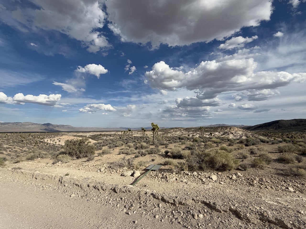 Pouštní krajina u Area 51 s Joshua stromy a dramatickou oblohou.