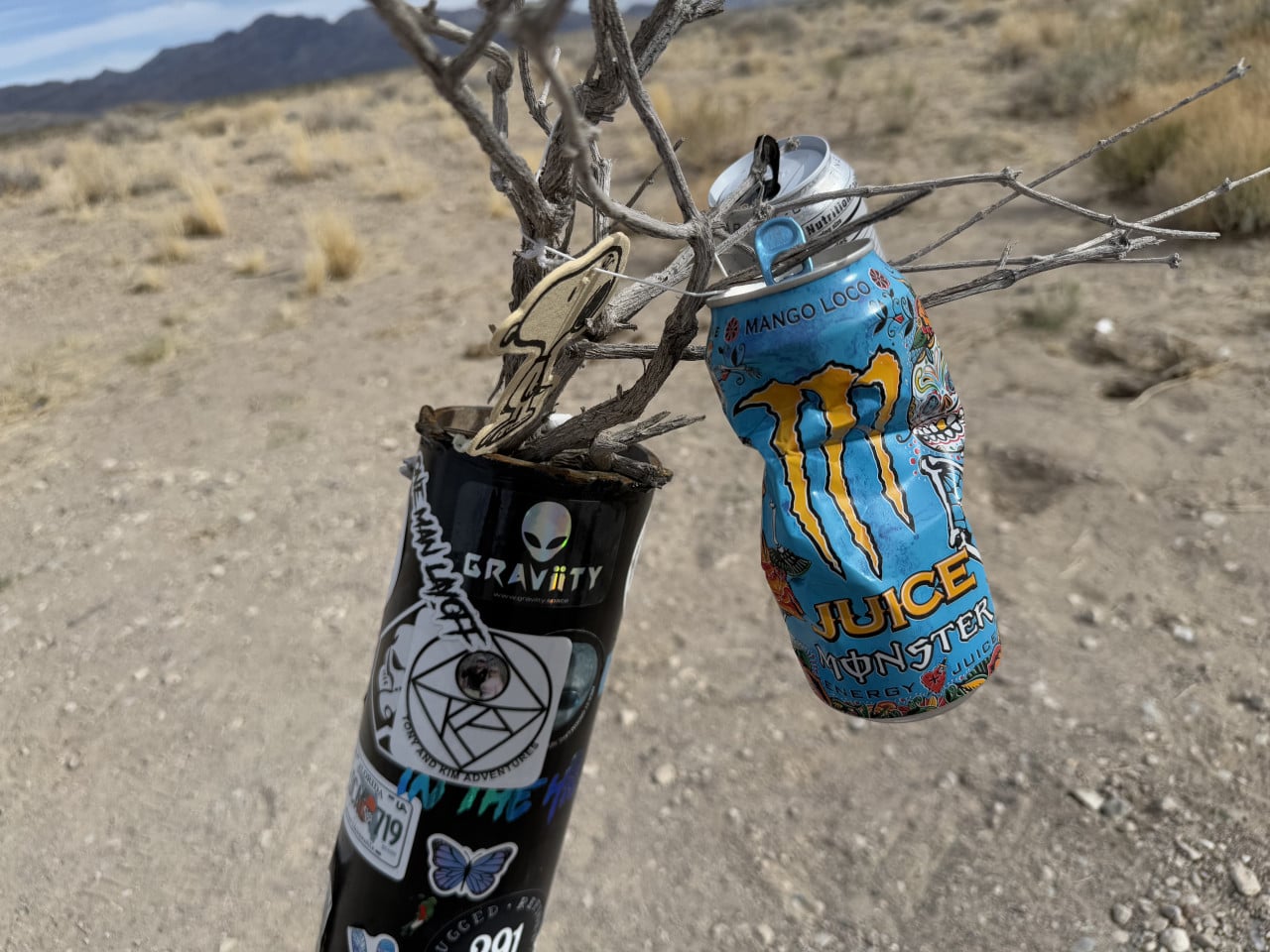 Plechovky s nálepkami zavěšené na větvi v nevadské poušti, rozmazané hory v pozadí