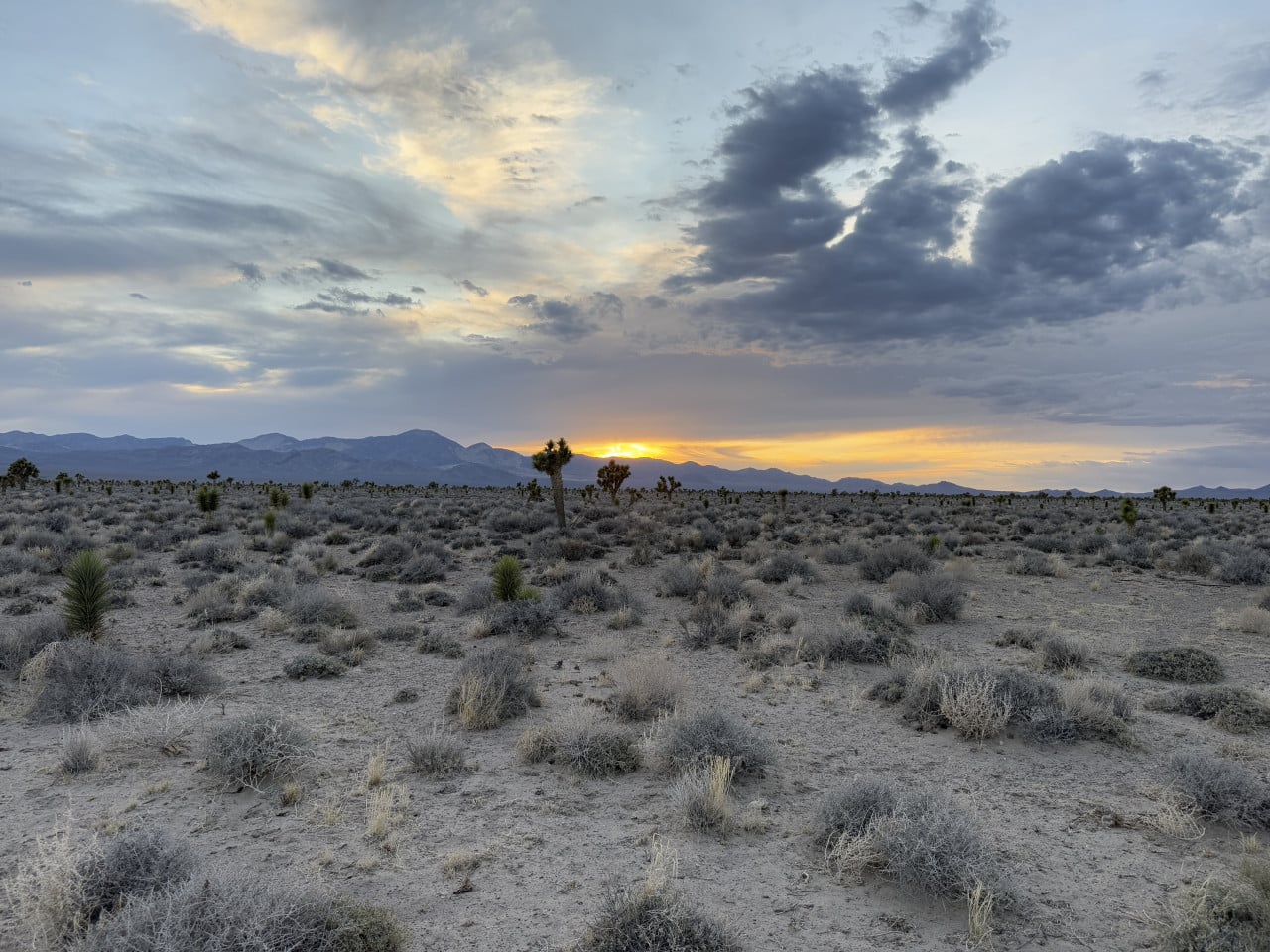 Pouštní krajina u Area 51 při západu slunce, s horami a keři.