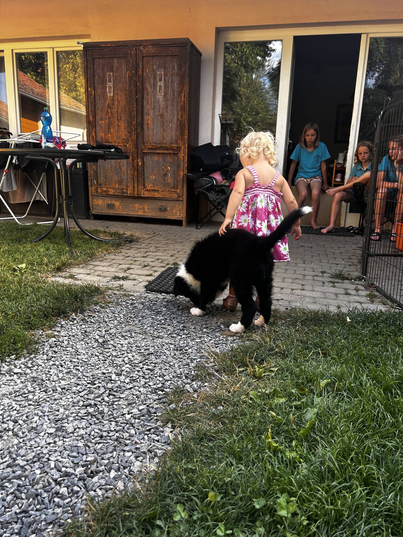 Holčička v růžových šatech si hraje s černobílým štěnětem na dvoře.