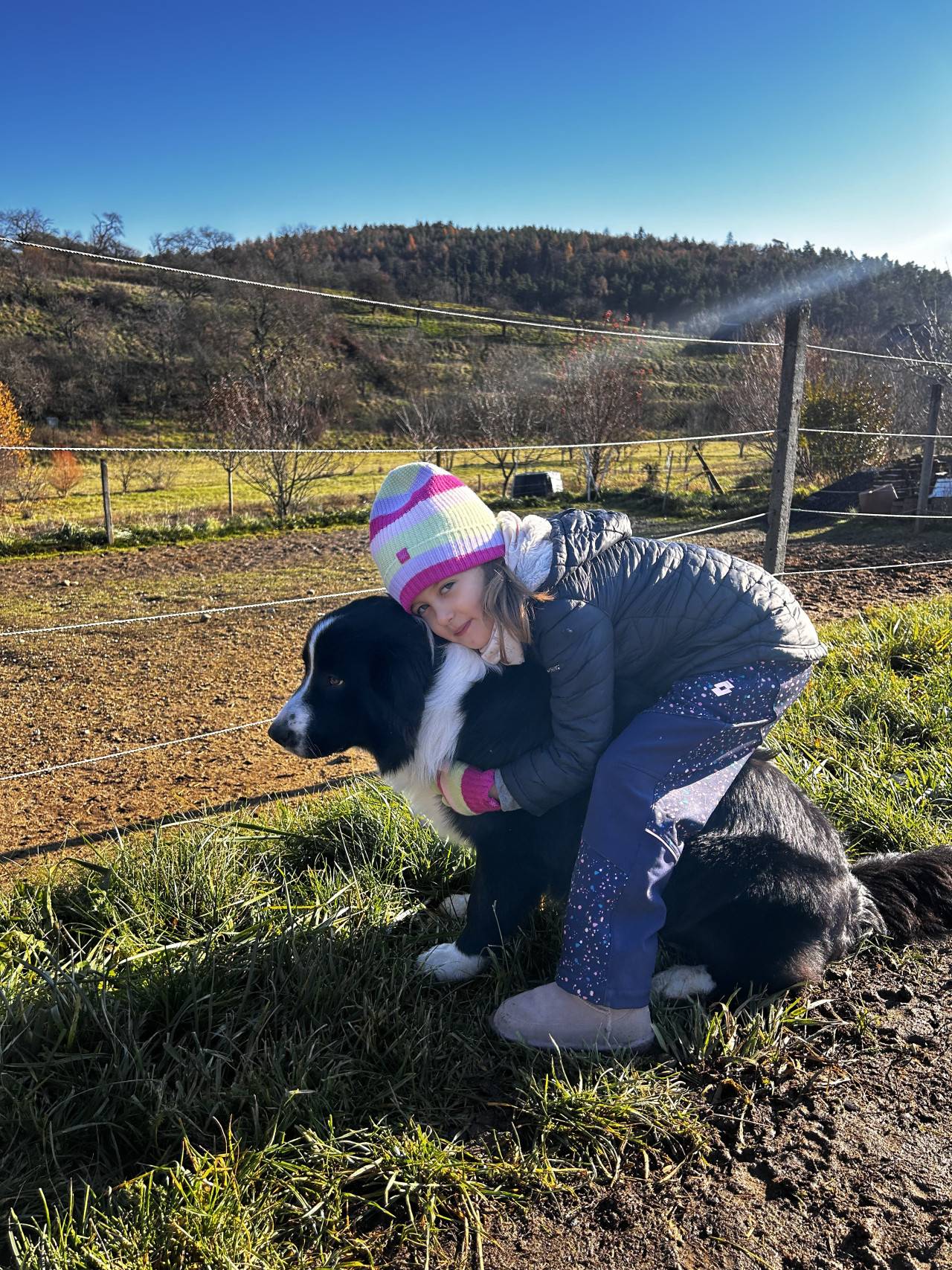 Holčička v čepici objímá černobílého australského ovčáka u ohrady na louce.