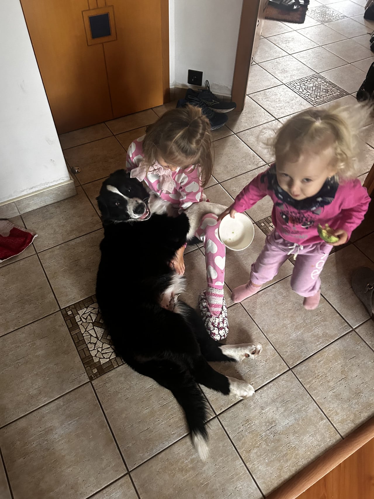 Dvě malé dívky na dlažbě mazlí černobílého psa, jedna drží misku