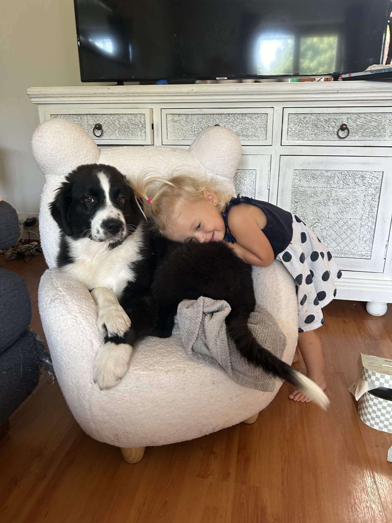 Malá holčička se opírá o černobílého psa na bílém křesle.