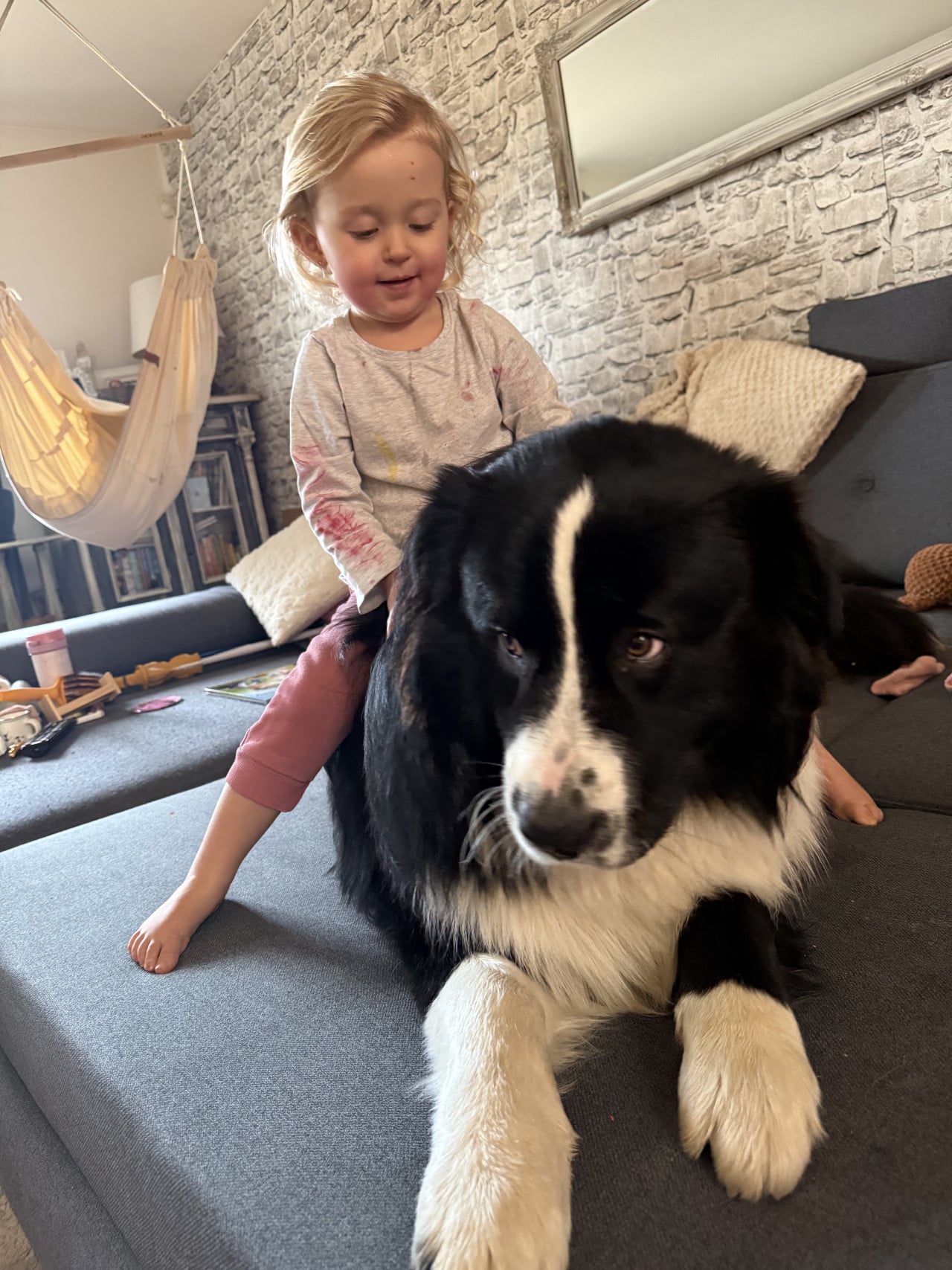 Malá holčička sedí na černobílém psovi na gauči v obýváku.