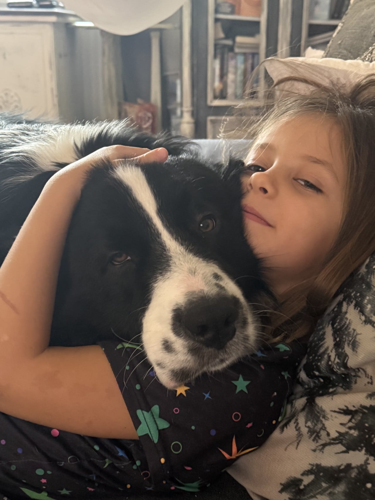 Dívka objímá černobílého australského ovčáka a tulí se k němu.