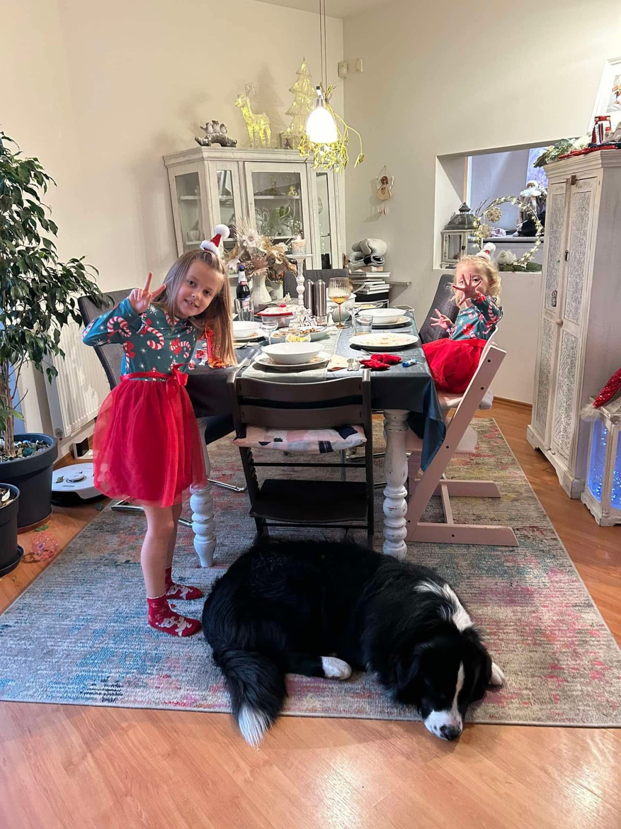 Dvě malé dívky u prostřeného stolu, černobílý pes leží na koberci.