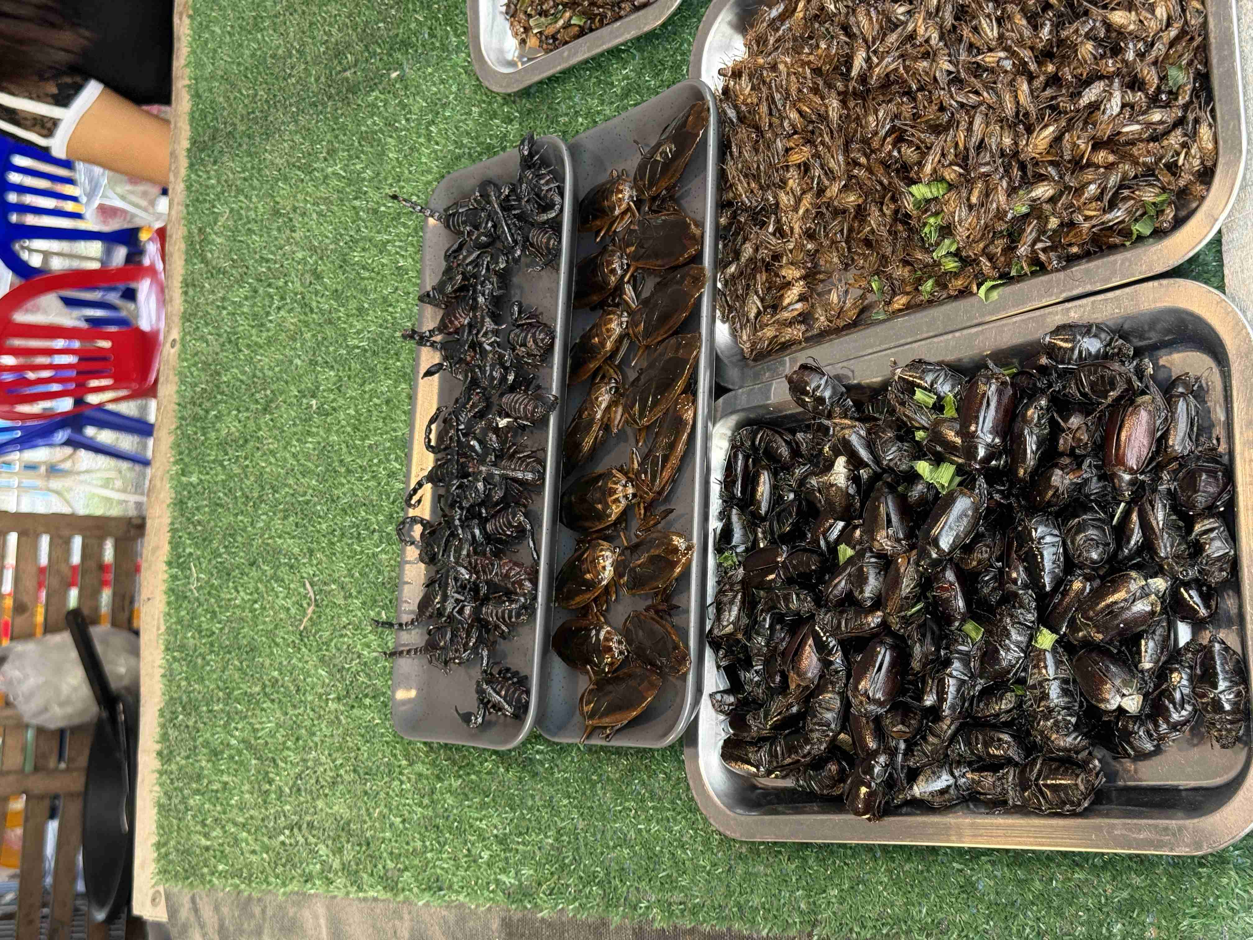 Tácy s praženými škorpiony, vodními brouky, potemníky a cvrčky na trhu