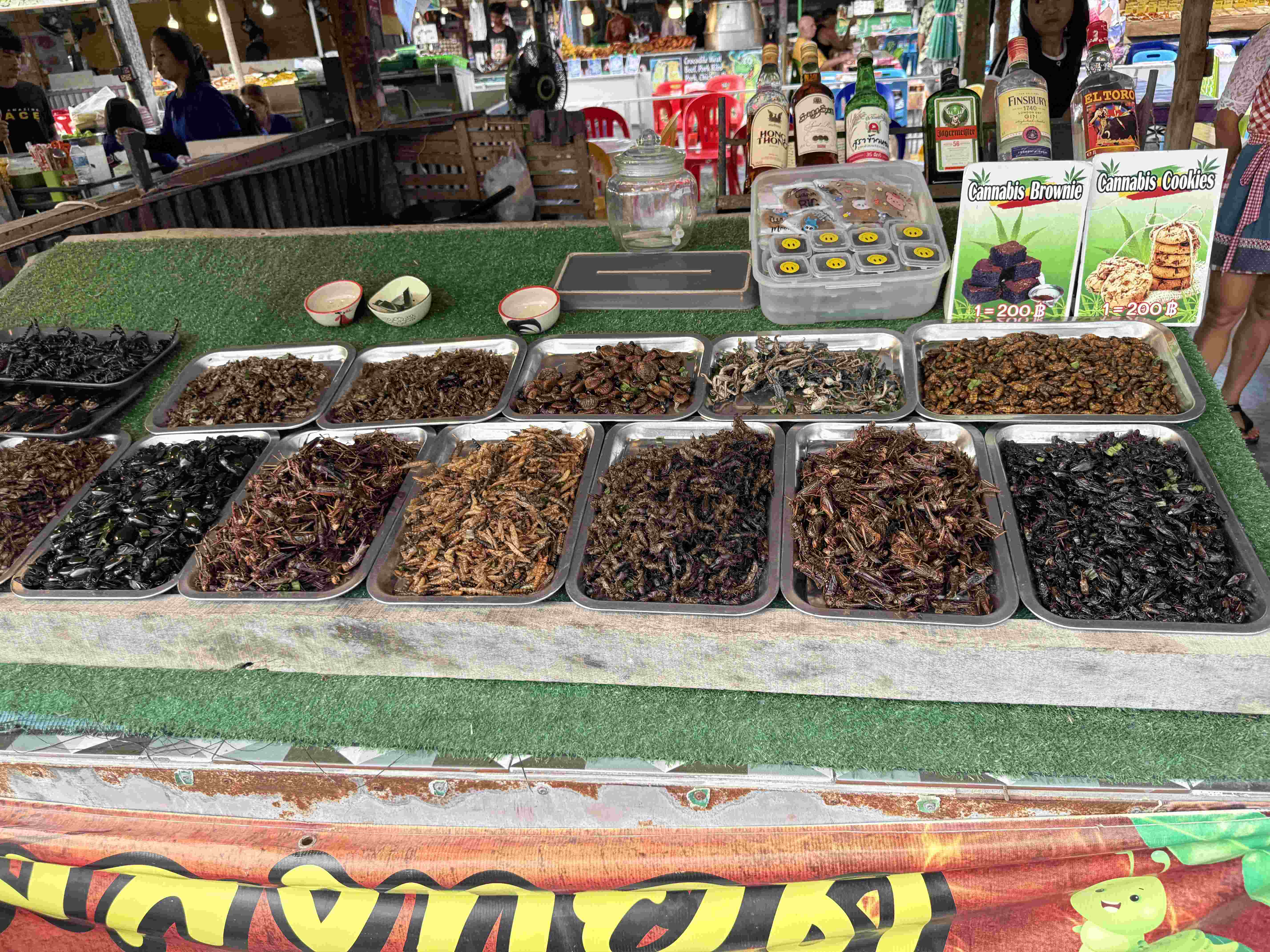 Stánek s tácemi smaženého hmyzu, nápisy Cannabis Brownie a Cannabis Cookies 1=200฿.