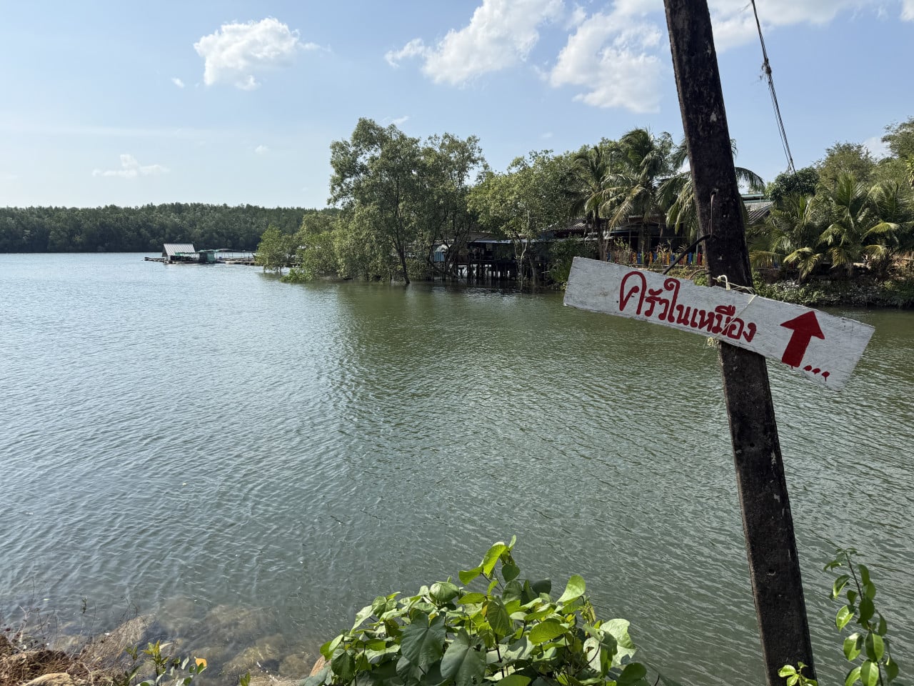 Řeka u mangrovů, domky na kůlech; cedule s textem ครัวในเหมือง a šipkou.