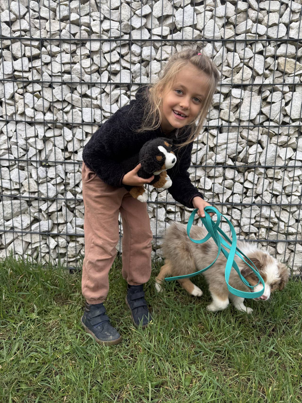 Usměvavá dívka drží plyšového pejska a vodí štěně australského ovčáka na vodítku.