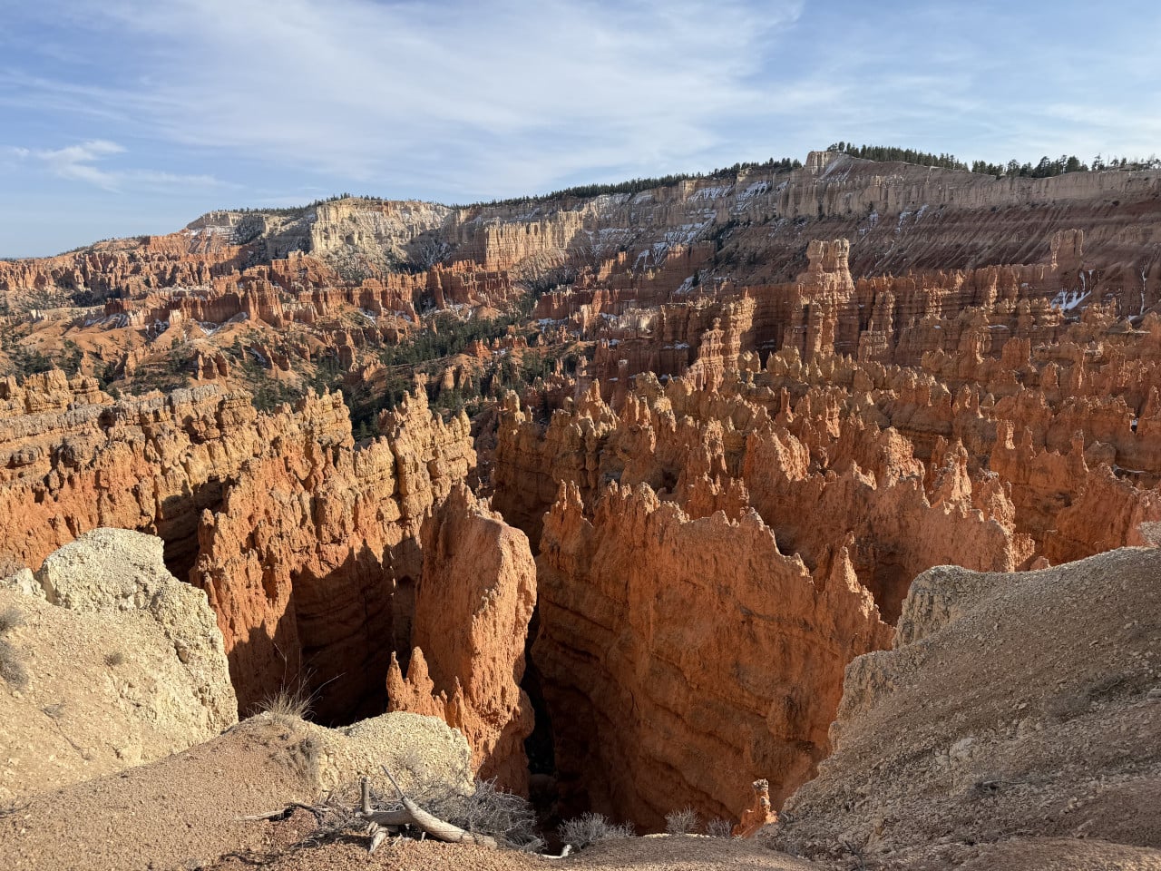 Panoramatický pohled na oranžové skalní věže Bryce Canyonu pod modrou oblohou