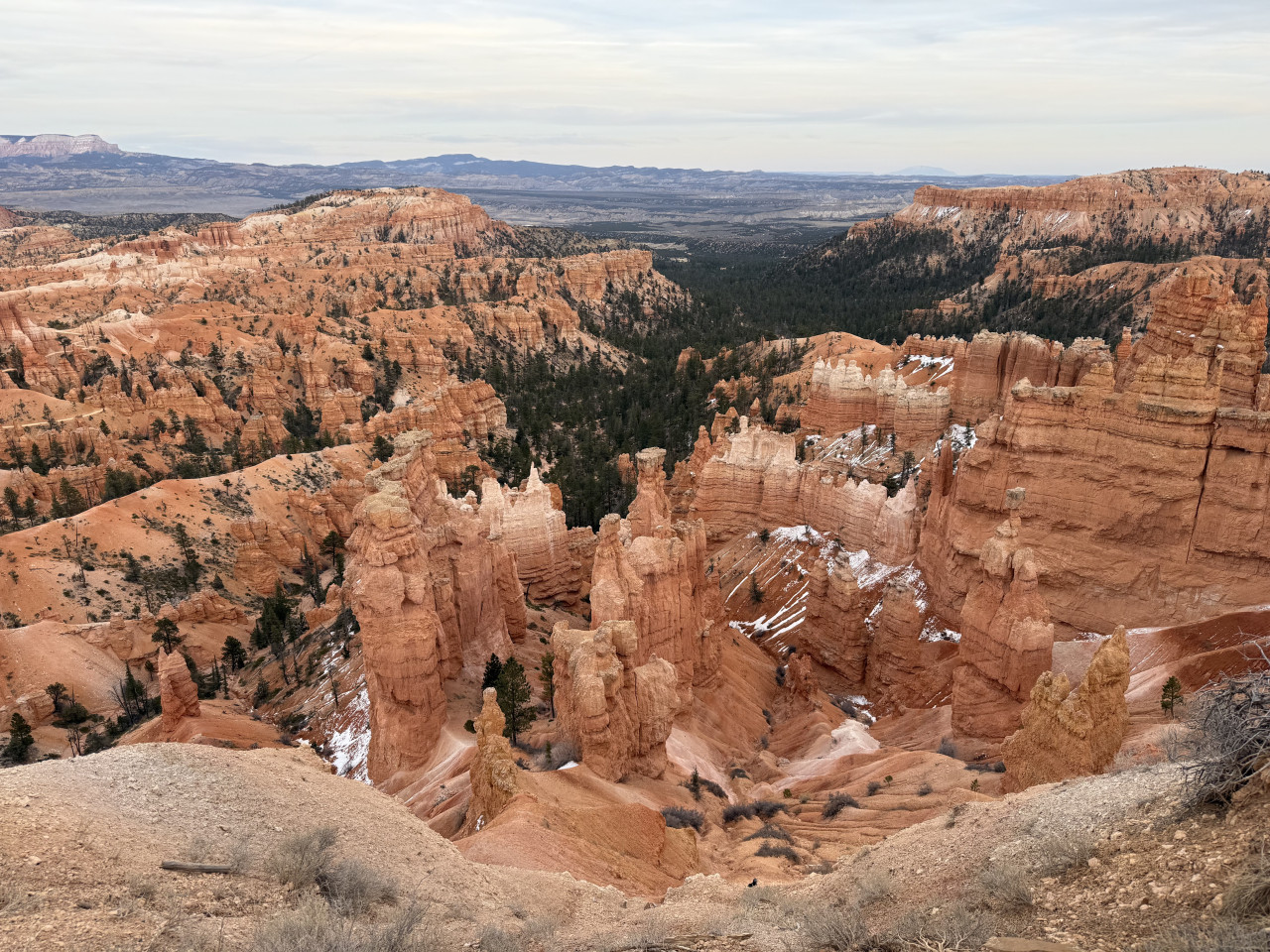 Oranžové skalní věže Bryce Canyonu, mezi nimi les a zbytky sněhu