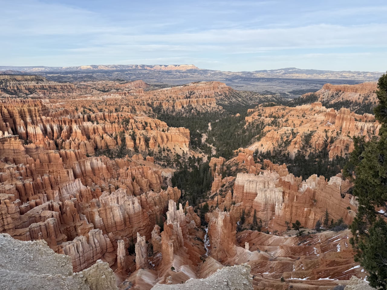 Panorama Bryce Canyonu s oranžovými skalními věžemi hoodoo a jehličnany v údolí