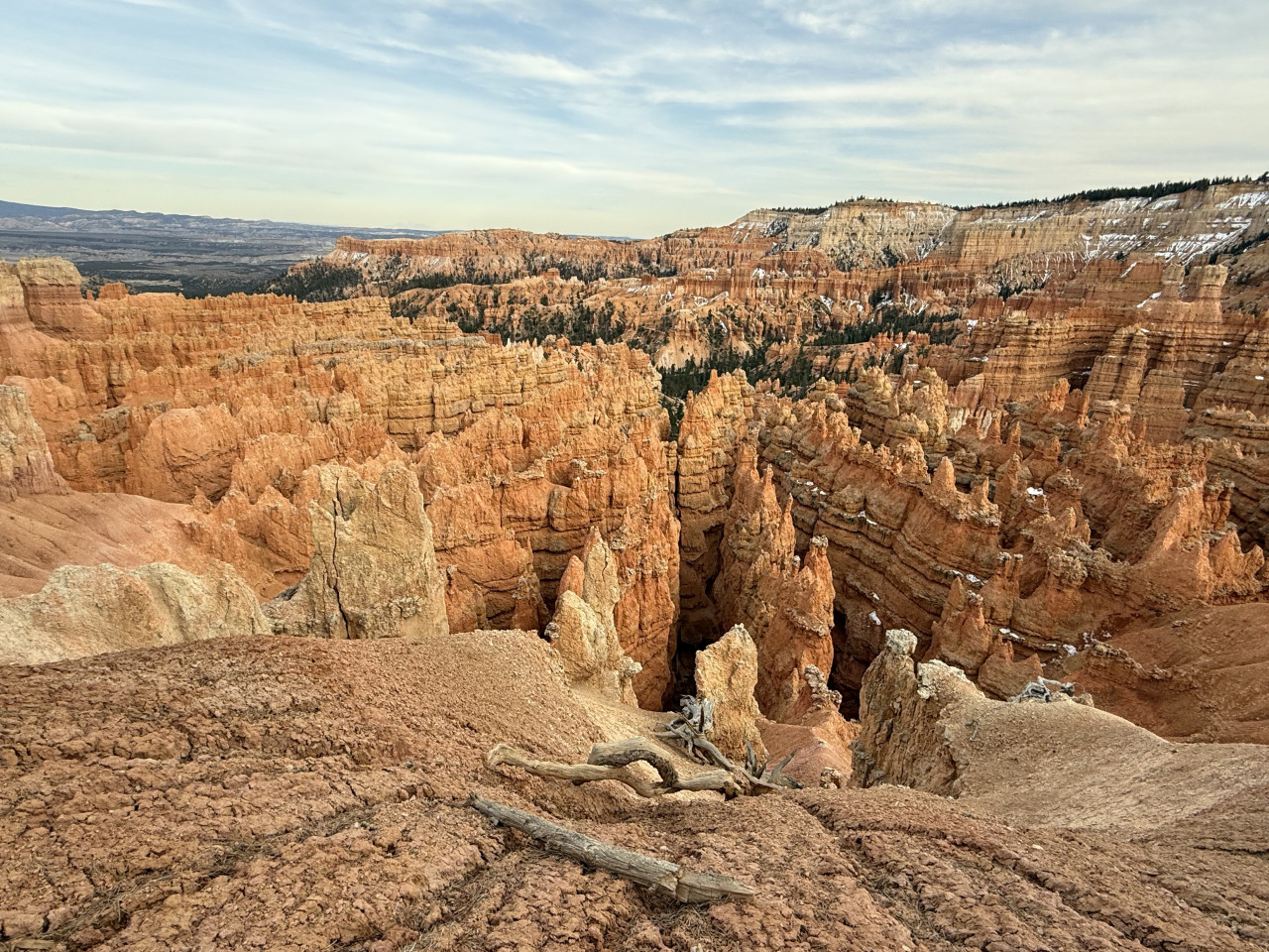 Panorama Bryce Canyonu s oranžovými hoodoo věžemi, obloha, zbytky sněhu a suché větve
