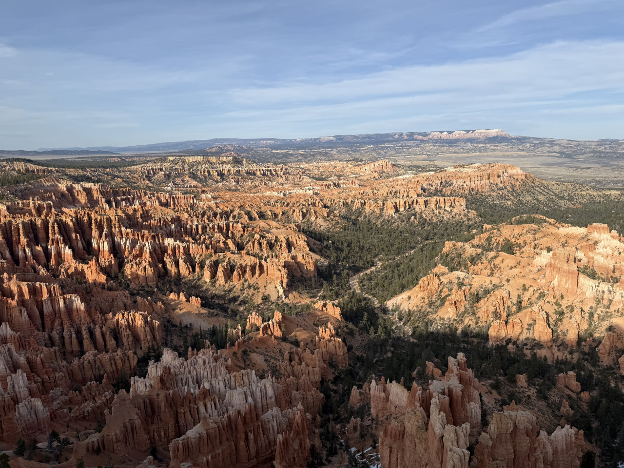 Panorama Bryce Canyonu s oranžovými hoodoos, borovicovým údolím a modrou oblohou