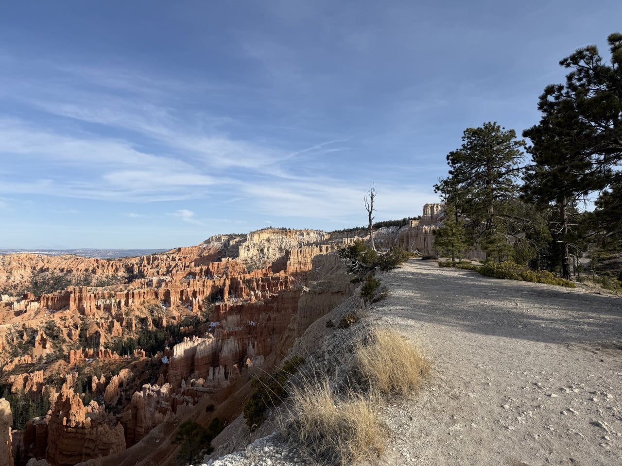 Prašná stezka po okraji Bryce Canyonu s výhledem na hoodoo věže a borovice