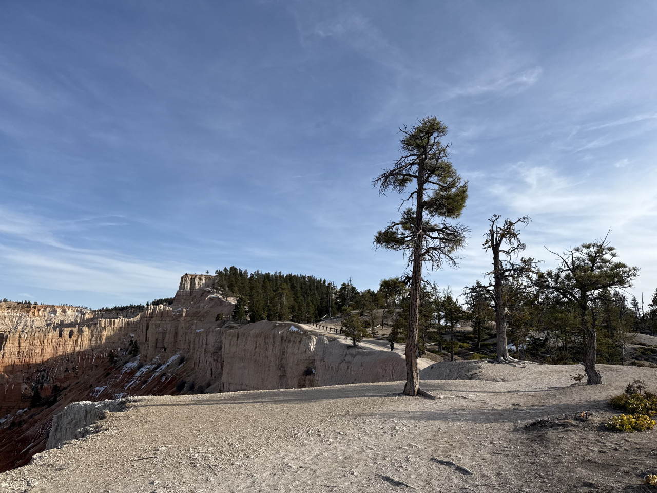 Vyhlídka na skalní útes Bryce Canyonu, borovice a stezka se zábradlím pod modrou oblohou
