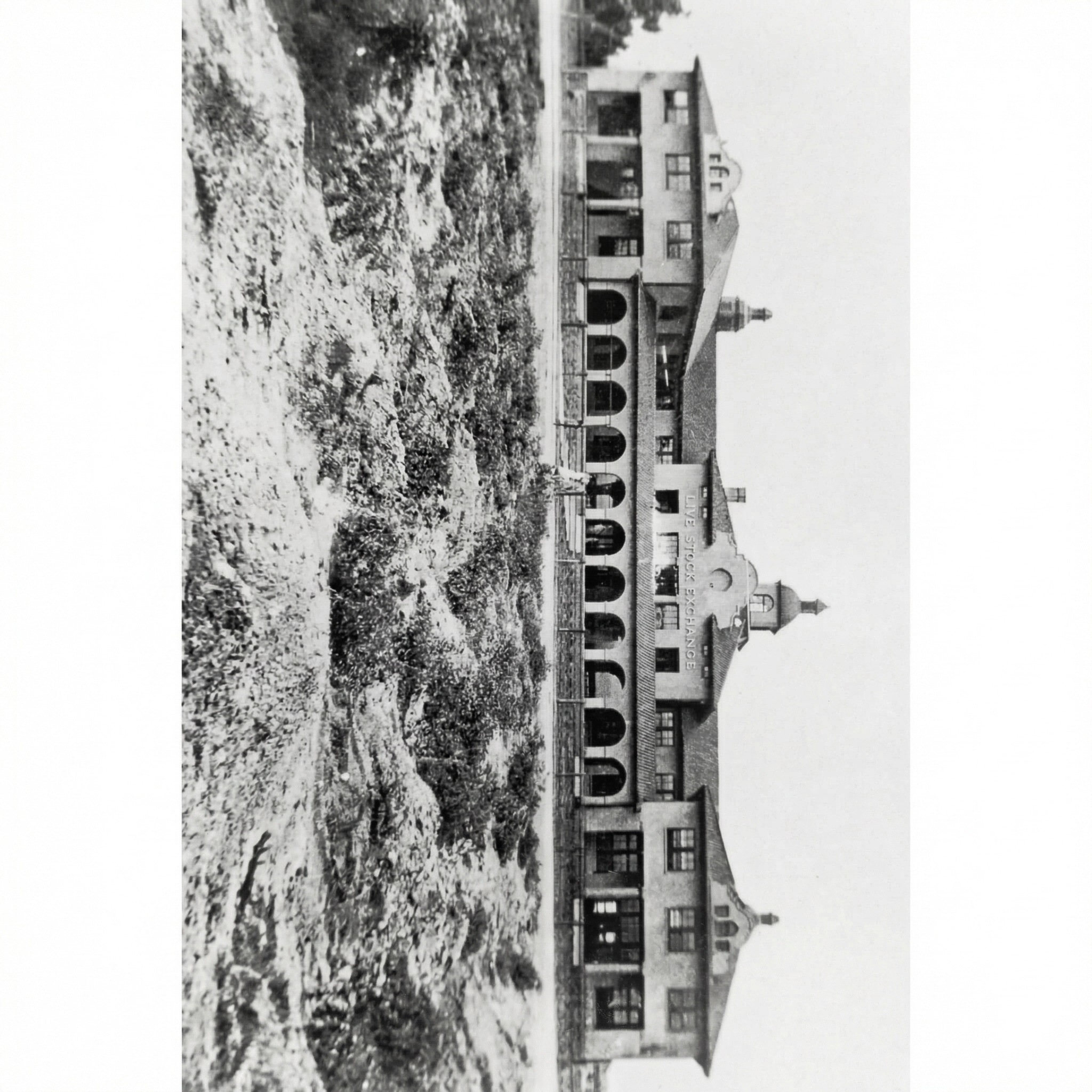 Historická fotografie budovy Live Stock Exchange.