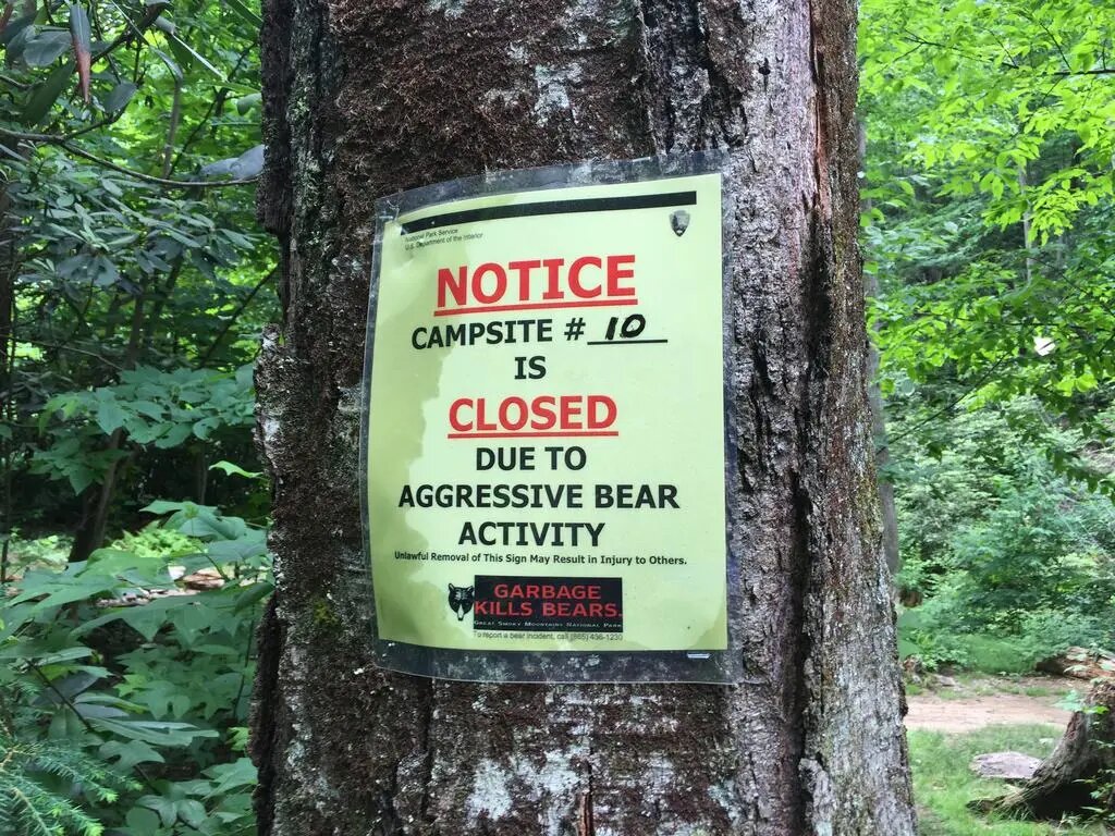 Cedule na stromě: NOTICE CAMPSITE #10 IS CLOSED DUE TO AGGRESSIVE BEAR ACTIVITY