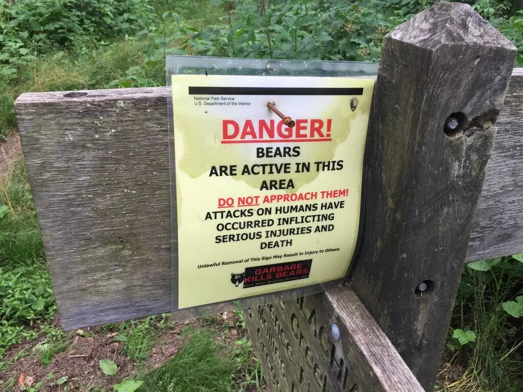 Varovná cedule DANGER! BEARS ARE ACTIVE IN THIS AREA na dřevěném plotě