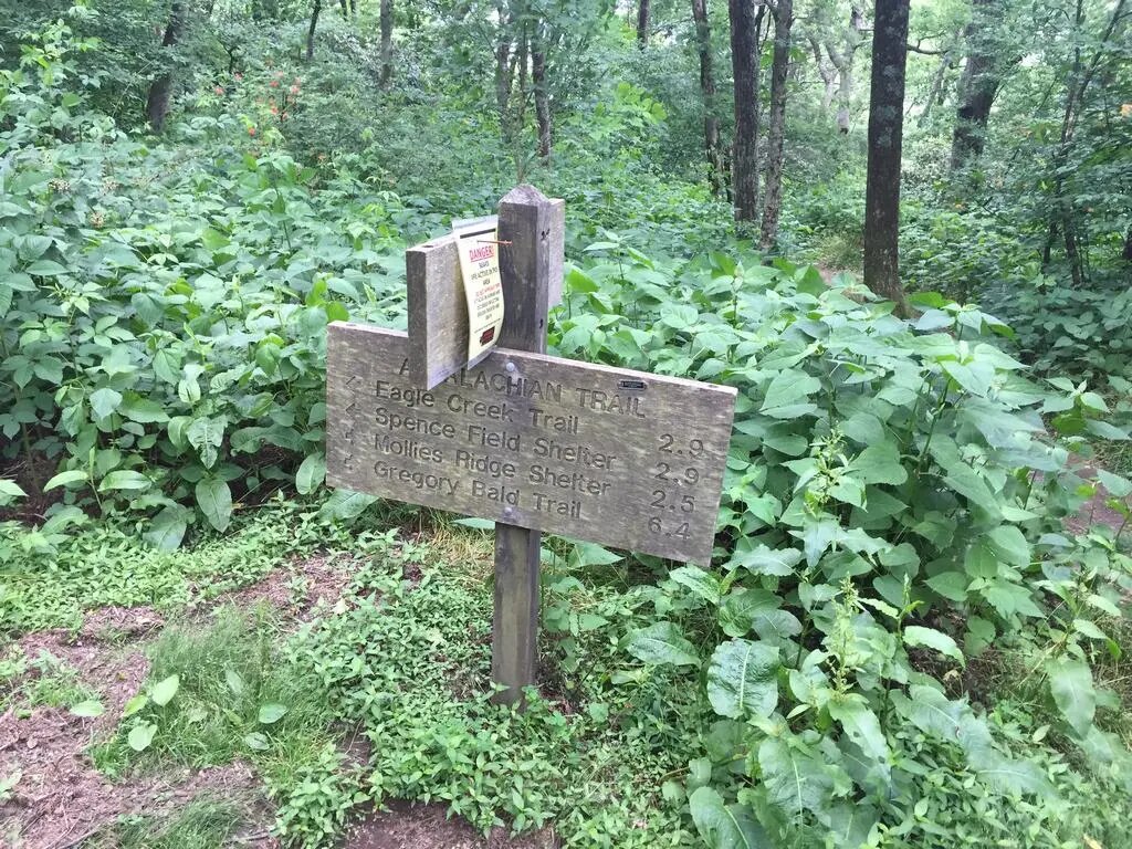 Dřevěná cedule DANGER, Appalachian Trail: Eagle Creek 2.9, Mollies Ridge 2.5, Gregory Bald 6.4.