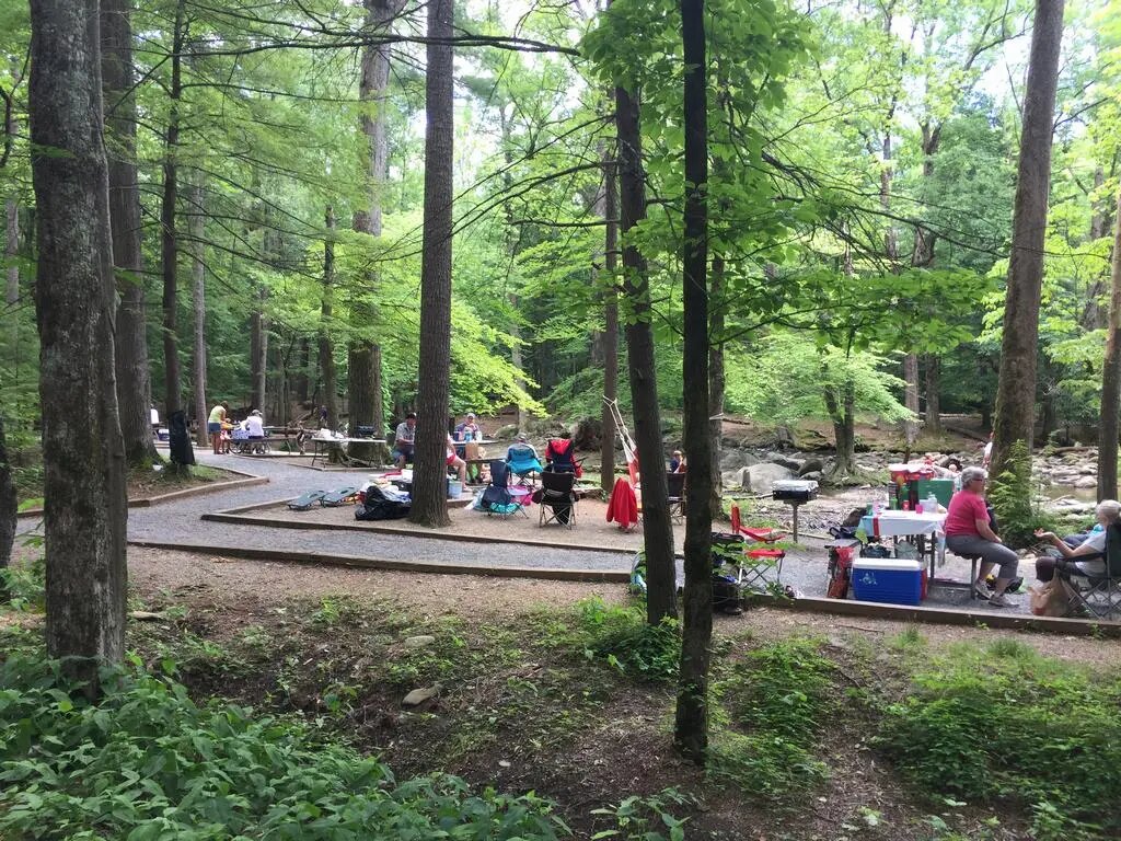 Kemp v lese u potoka, lidé u piknikových stolů, grily, židle a chladicí boxy