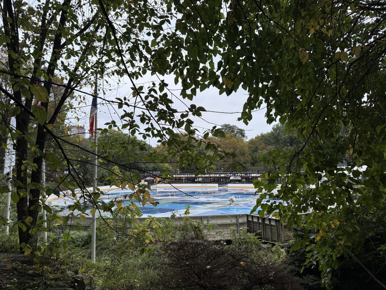 Pohled skrz husté listí na venkovní kluziště v Central Parku