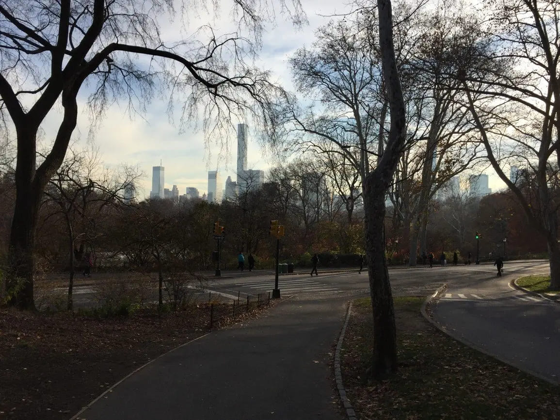 central park v new yorku1