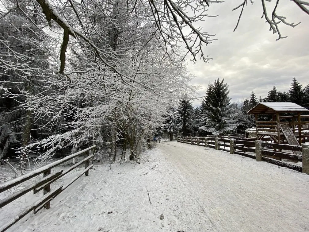 cerna-studnice-rozhledna1