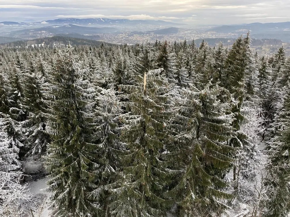 cerna-studnice-rozhledna7