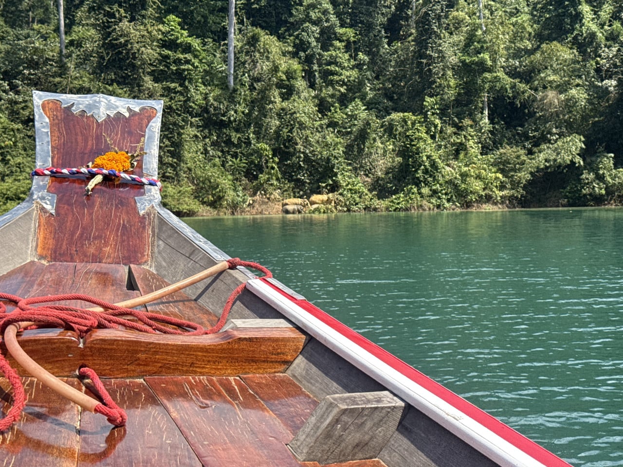 Příď dřevěné loďky na jezeře, v dálce u břehu divocí sloni.
