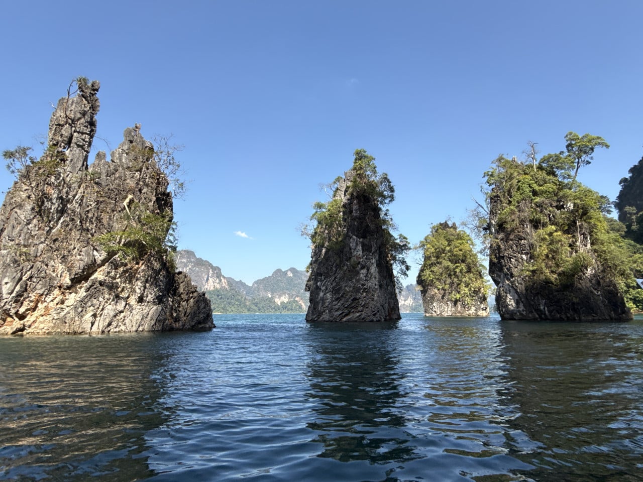 Vápencové skalní věže porostlé stromy vystupují z klidné hladiny jezera Cheow Lan.
