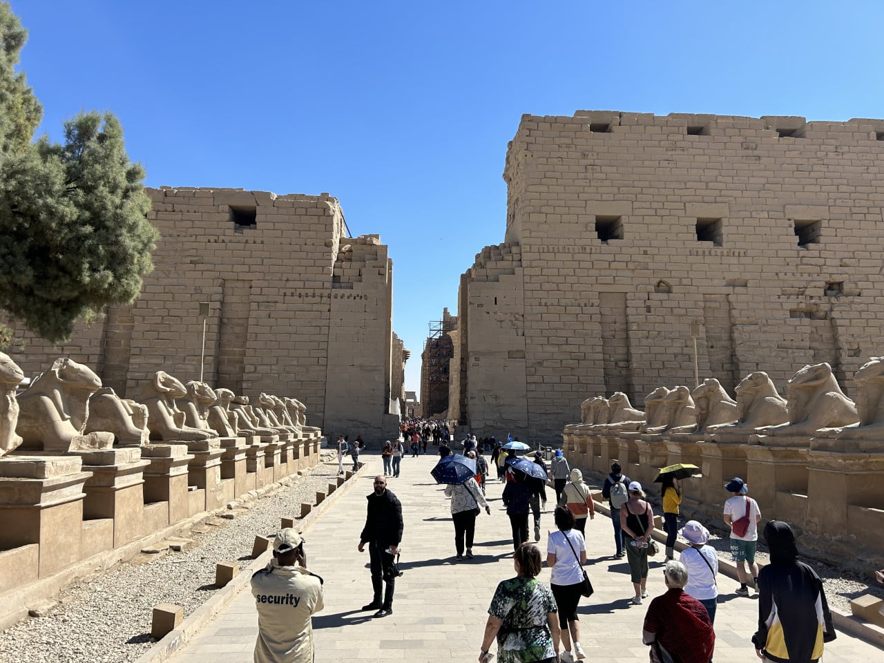 Alej beraních sfing u vstupu do chrámu Karnak s turisty a modrou oblohou