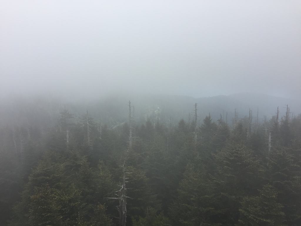 Mlhavý výhled na zalesněné hřebeny Smoky Mountains s uschlými kmeny stromů