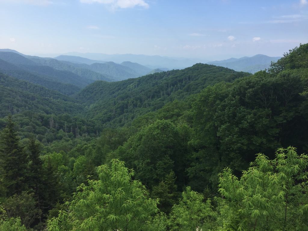 Panoramatický výhled na zelené zalesněné hřebeny Smoky Mountains v lehkém oparu