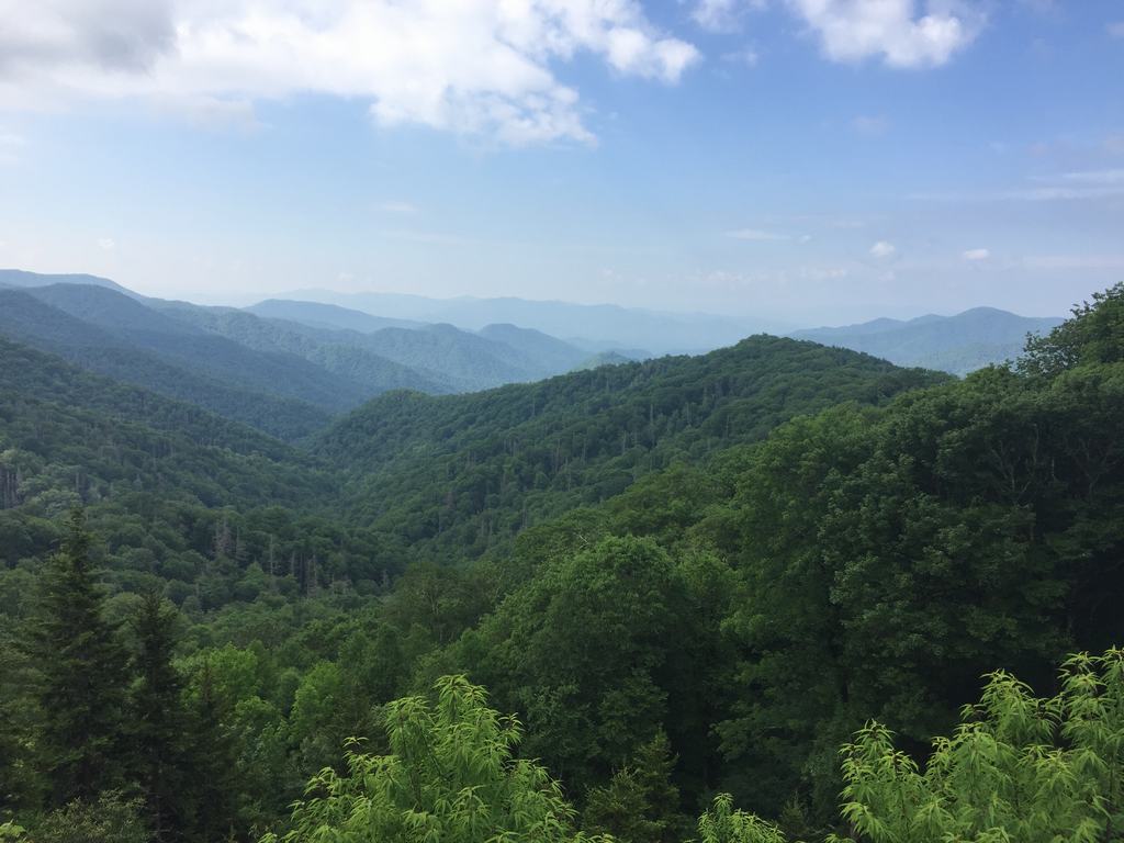 Panoramatický výhled na zalesněné hřebeny Smoky Mountains pod modrou oblohou