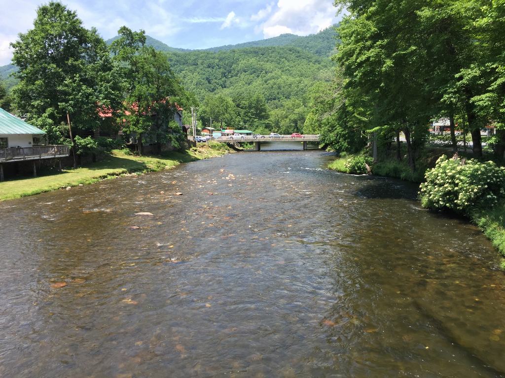 Mělká řeka s kameny, most s auty, stromy a zelené hory v pozadí