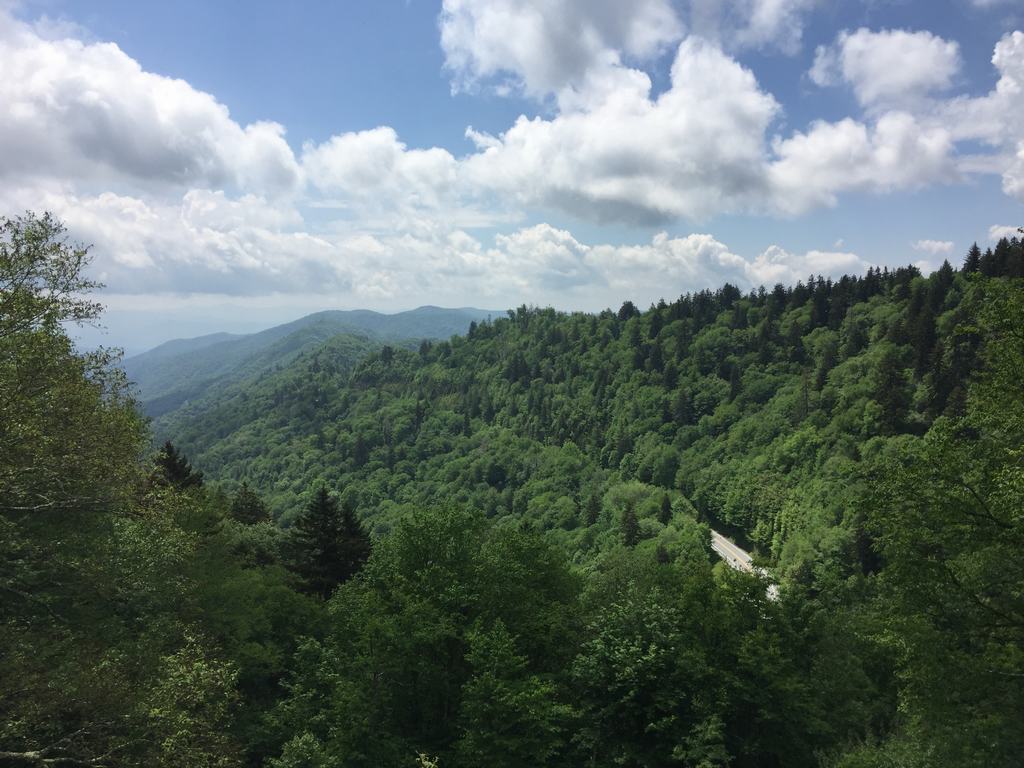 Zelené zalesněné hřebeny Smoky Mountains, v údolí klikatá silnice, oblačná obloha