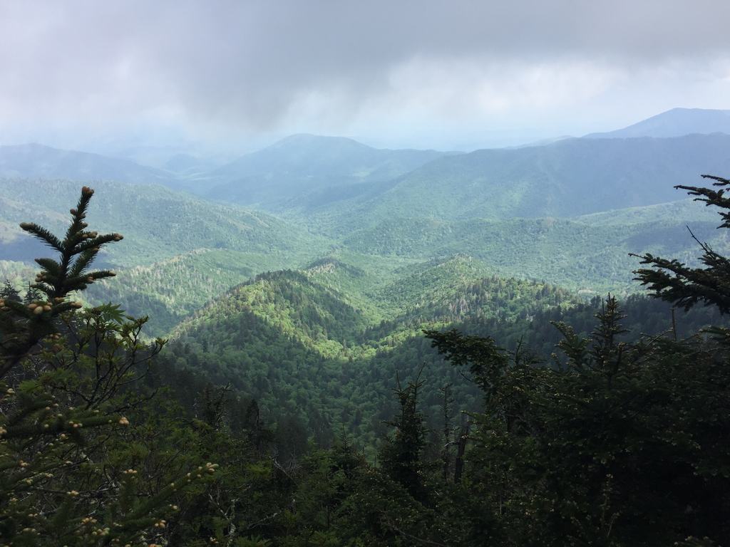 Panoramatický výhled na zelené hřebeny Smoky Mountains pod nízkými mraky a mlhou.