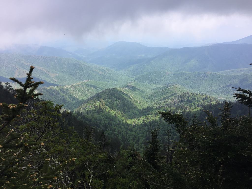 Zamlžený panoramatický výhled na zelené hřebeny Smoky Mountains pod tmavou oblohou