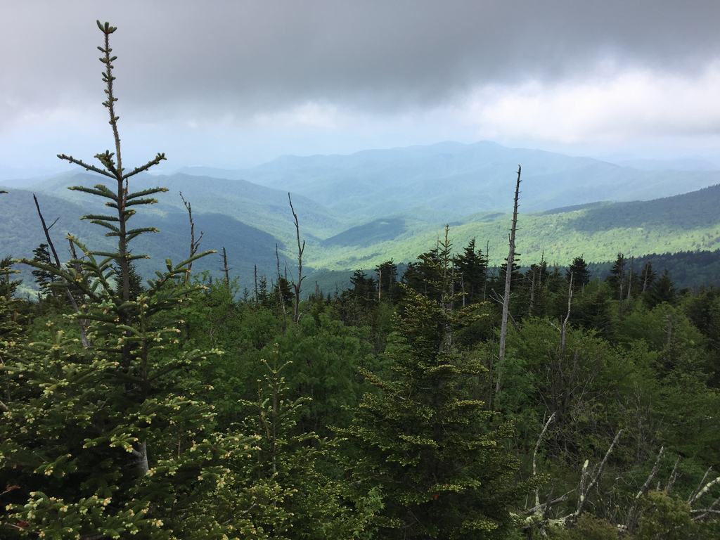 Panoramatický výhled na zelené hřebeny Smoky Mountains, les v popředí, nízké mraky