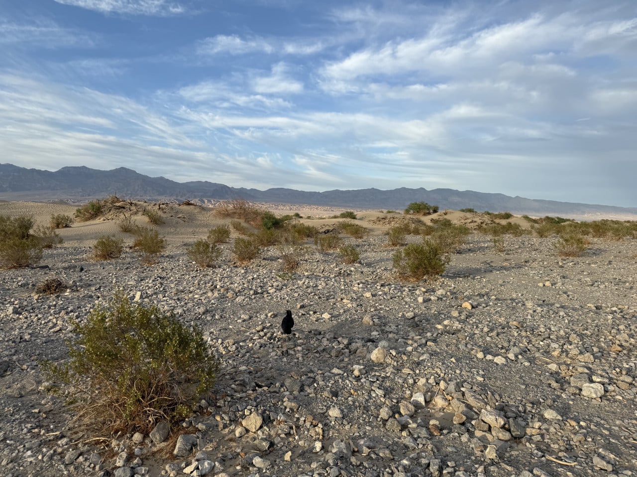 Kamenná poušť v Death Valley s keři a vzdálenými horami pod oblohou